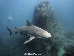 In July 2012, for the first time in anyone's memory, we h... by Alan Duncan 